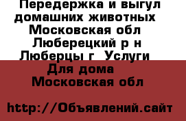 Передержка и выгул домашних животных - Московская обл., Люберецкий р-н, Люберцы г. Услуги » Для дома   . Московская обл.